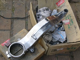 p-proarm10