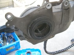 p-proarm19