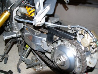 p-proarm23