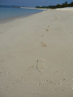 わしの足跡 わしの足跡